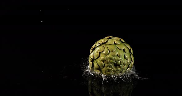 Artichoke, Cynara scolymus, Vegetables Falling Into Water on Black Background, Slow Motion 4K alt