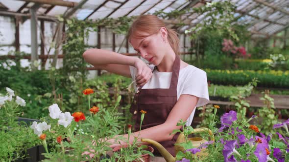 Girl in an Apron at Work in a Greenhouse Transplants Flowers Slowmotion Video