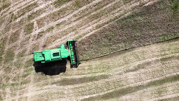 Green combine harvester harvests barley in the field in summer. Aerial view. Harvest time.
