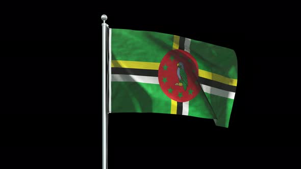 Dominica Flag Big
