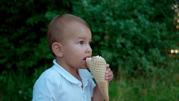 Cute Little Boy Eating Ice Cream in Park