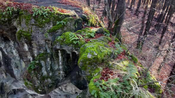The Cave Grotto in the Forest