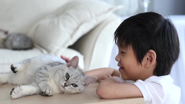 Cute Asian Child Playing With Scottish Kitten Together alt