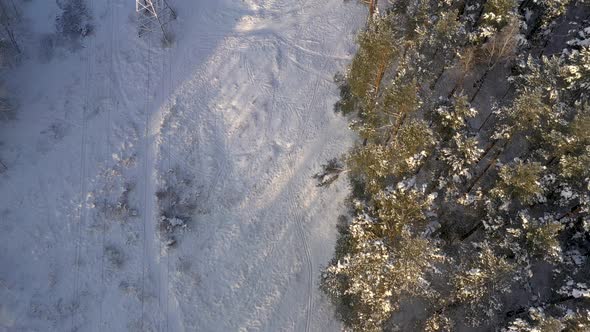 AERIAL: Top Down Shot of Flying Above Power Electricity Cable Lines in Forest on Winter Day 