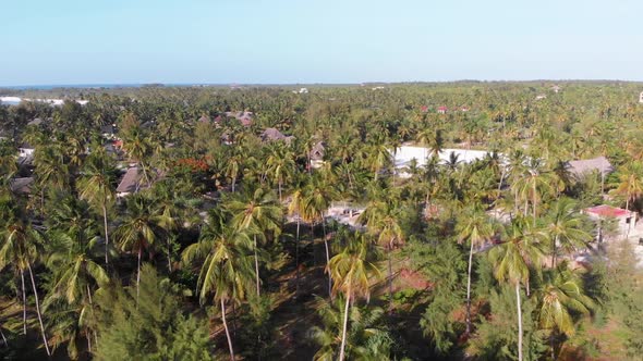 Paradise Coast Resort with Palm Trees and Hotels By Ocean Zanzibar Aerial View alt