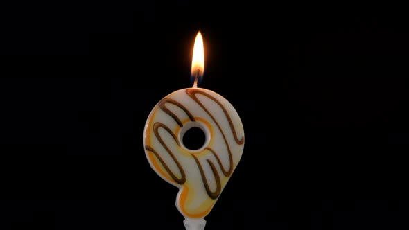 Birthday Donut Candle