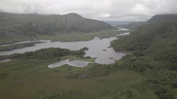 Creeping in to lush landscape of Ladies view Kerry valley Ireland alt
