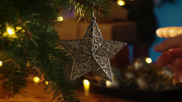 Christmas Silver Star on Tree Branch at Home alt