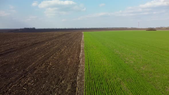 Fly forward above green field and cultivated land