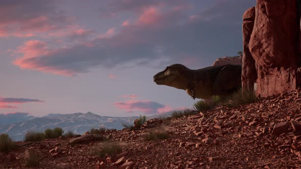 Tyrannosaurus Walks Through the Canyon in the Desert alt