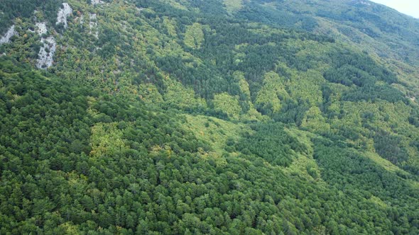 A view from above of landscape with different colors of green forests
