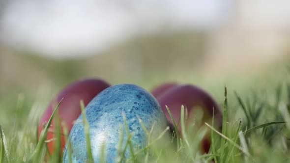 Few Pashal eggs in the garden 4K 2160p 30fps UltraHD footage - Traditional Easter painted  symbol cl alt