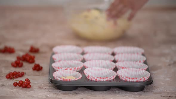 Process of Cooking Muffins with Red Currant