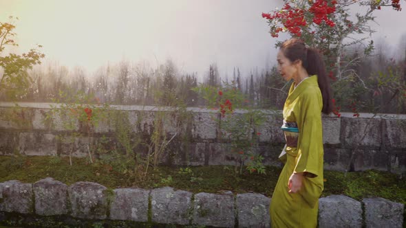 Elegant Japanese woman in Kyoto Japan alt