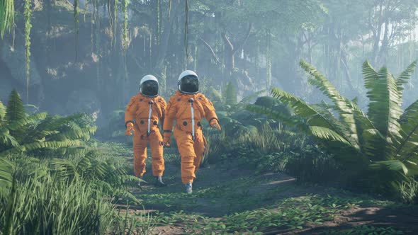 Astronauts In The Jungle