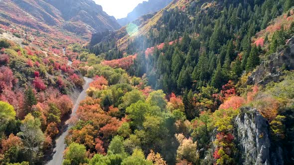 Flying up colorful canyon during autumn in Utah alt