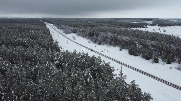 a Road in a Snowcovered Coniferous Forest From a Bird'seye View