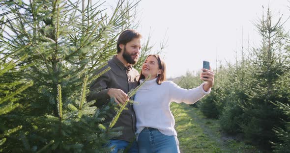 Couple Making Selfie Among Beautiful Fir Trees During Walking on Sunny Autumn Day alt