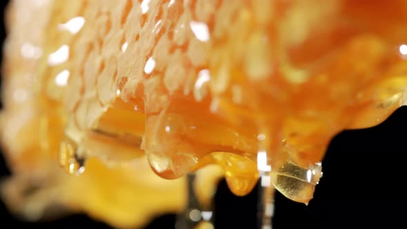 Golden Fresh Honey is Dripping From Honeycomb alt