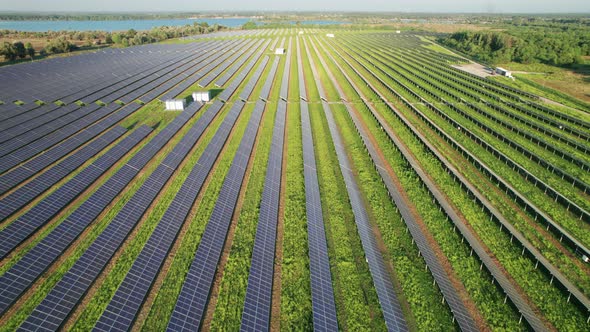 Aerial View of Solar Farm on the Green Field at Sunset Time Solar Panels in Row alt