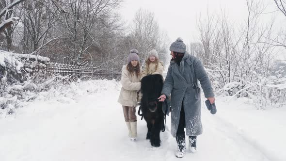 Winter Horse Ride alt