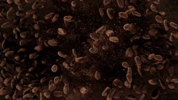 Super Slow Motion Shot of Exploding Raw Chocolate Beans and Cocoa Powder at 1000Fps. alt