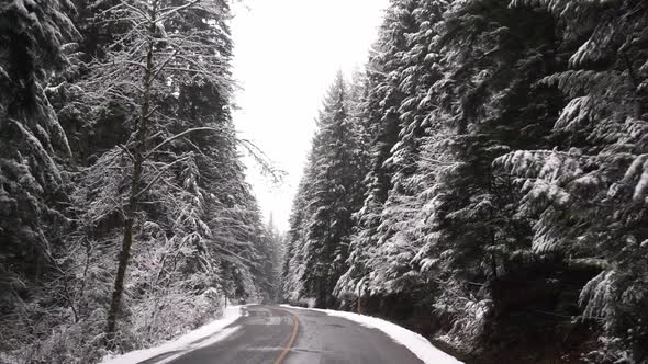 Driving through snow covered trees in slow motion