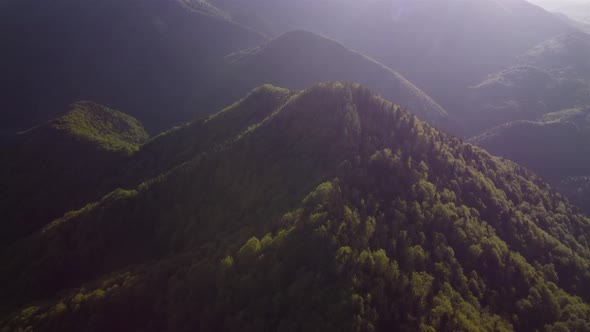 Aerial View Over Mountain Ridge in Mixed Forest in Carpathians Spring Nature in National Park