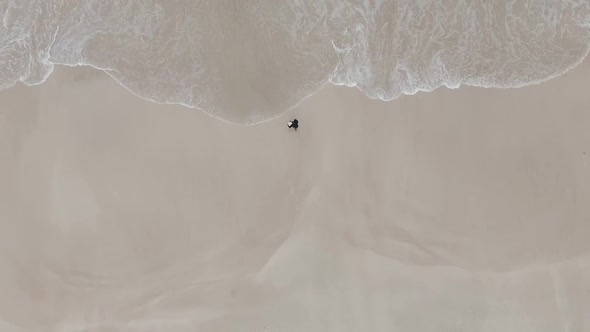 Ocean Wave on Sandy Beach alt