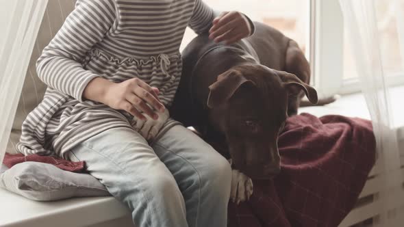 Little Girl Petting Her Dog alt