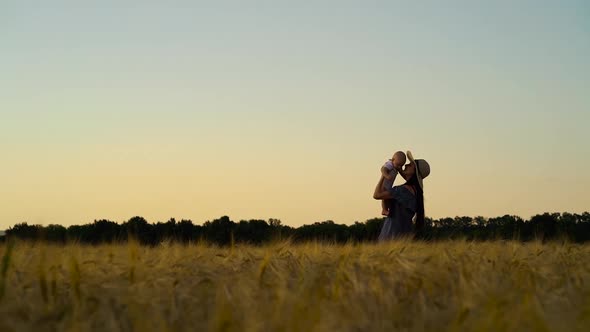 Young mother playing with baby in wheat field at sunset alt