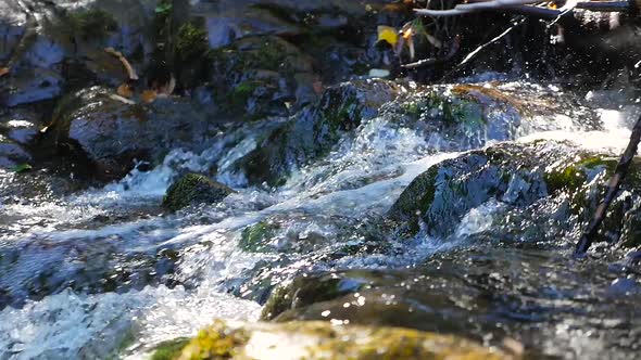 Close Up Showing Water Rush Down Small Rapids Beside Rocks