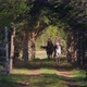 Two People are Riding Horses Through the Forest - VideoHive Item for Sale