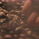 Coffee beans slow motion indoor - VideoHive Item for Sale