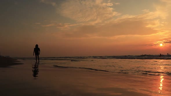 Silhouette People Playing with Frisbee on the Beach Backlit By Summer Sun