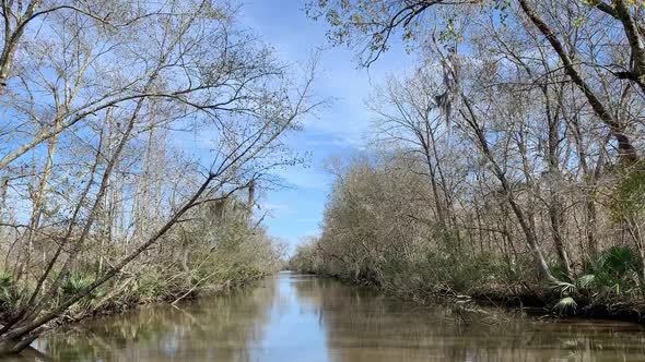 Navigating the Bayou in Louisiana on a pontoon boat, going through a very calm river area in between alt