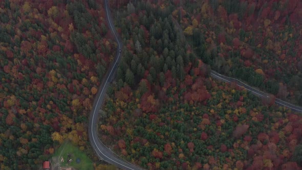 Rain falls over cars driving on winding mountain road in dramatic autumn forest alt