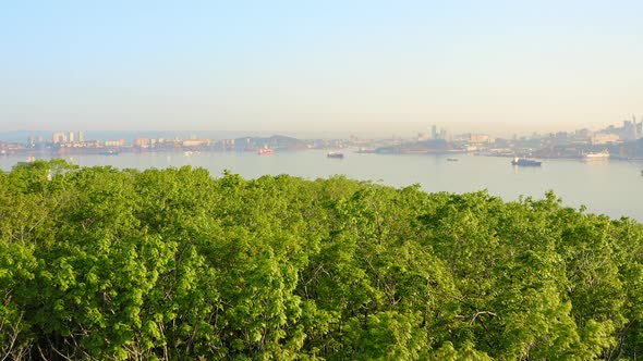 Panoramic View From a Drone Flying Over the Trees to the City at Dawn in Summer alt