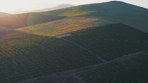 Sunrise Over Mountains alt