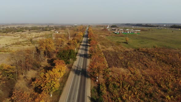 Aerial view of the asphalted road in autumn. Span over the road. alt