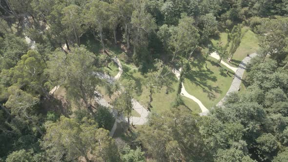 Flying over Musicians Park in Shekvetili. Georgia alt