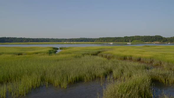 Flying Over Green Grass Reeds and Towards Bay in Long Island alt