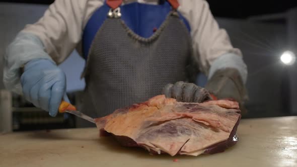 Meat Processing Plant Butcher Cuts Beef Carcasses Meat Production and Food Industry the Process of alt