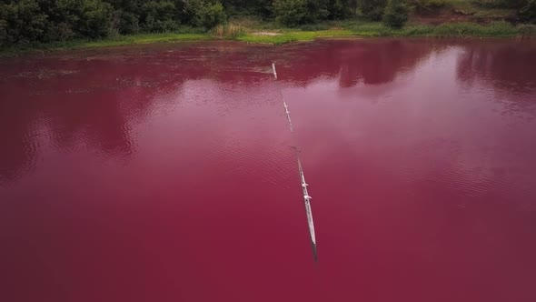 Birds Are Sitting on Log in Toxic Pink Lake, Aerial Shot, Ecological Catastrophe