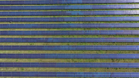 Solar Panel Plant