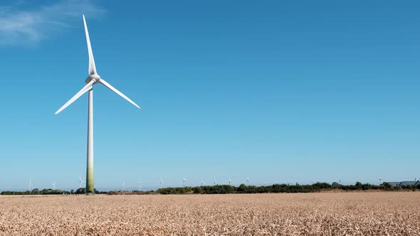 Electricity Wind turbines in a field of ripe and ready to harvest wheat. alt
