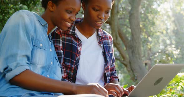 Twin sisters using laptop in the park 