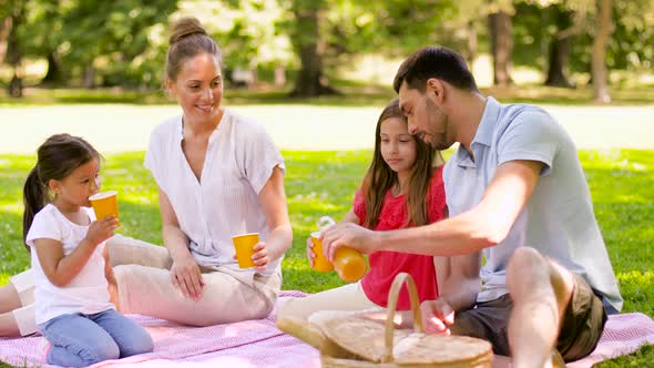 Happy Family Drinking Juice on Picnic at Park, Stock Footage | VideoHive