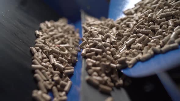 Wood fuel pellets fall on cells of delivering conveyor belt