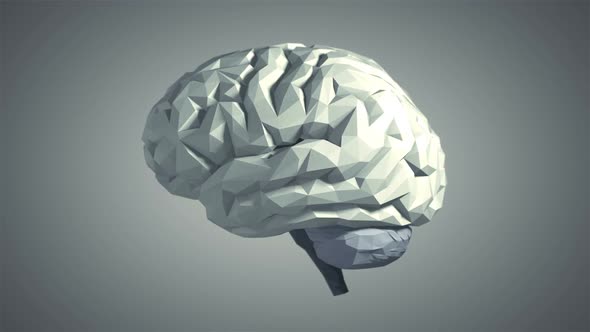 Low Poly Brain – Gray